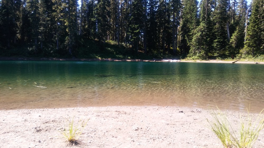 20170818_105601_Burst01