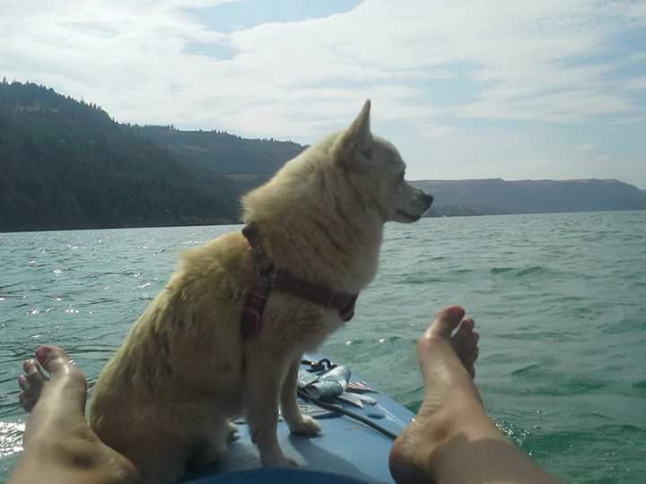 FB_IMG_1506456508219