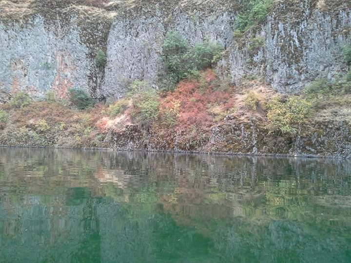 FB_IMG_1506456557901