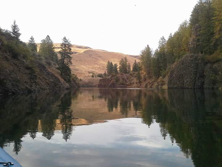 FB_IMG_1506456565285