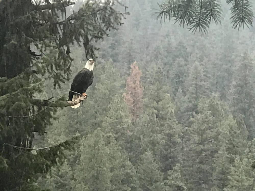 received_1595056560529603