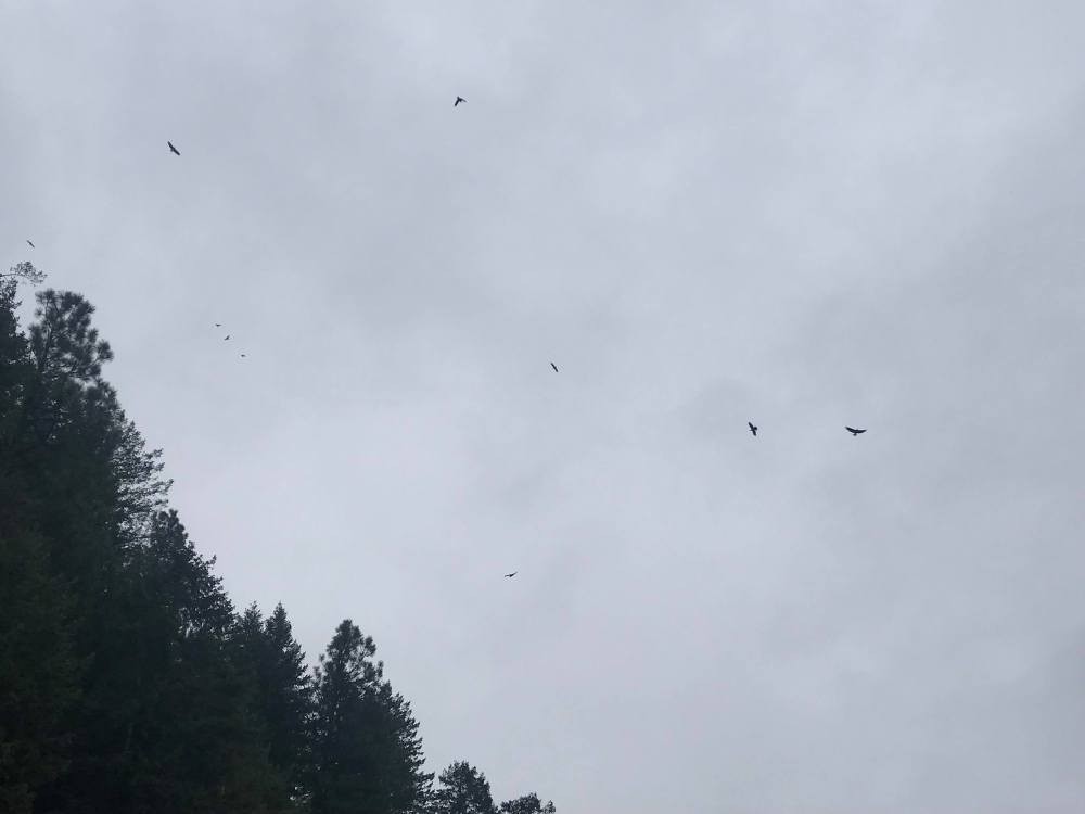 received_1595057580529501