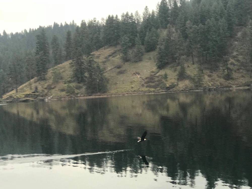 received_1595058060529453