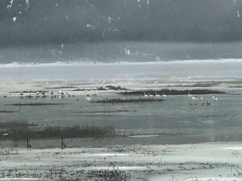 received_1697946486907276