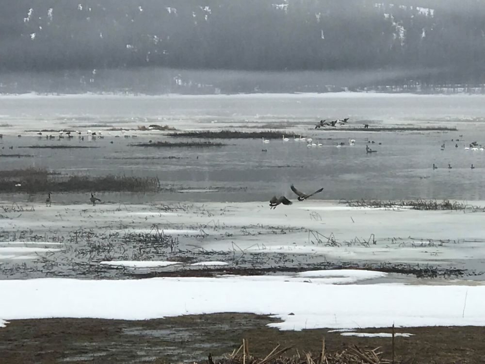 received_1697947010240557