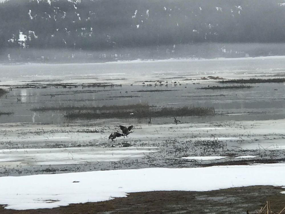 received_1697948673573724