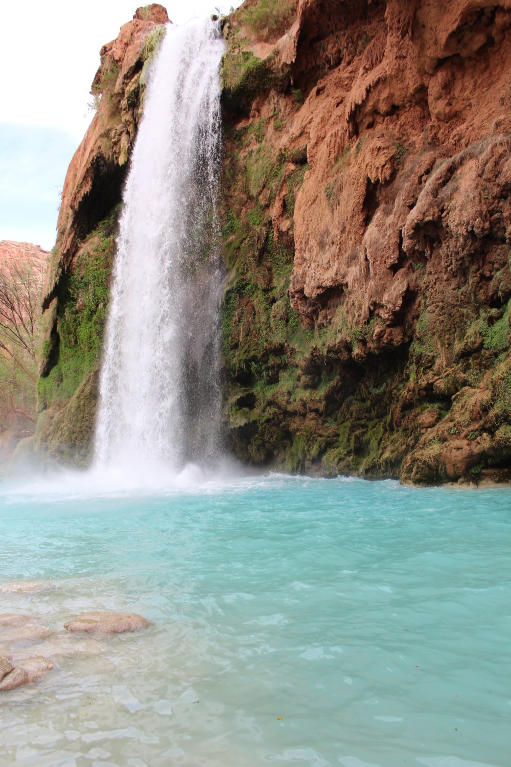 20180406143654_IMG_0128