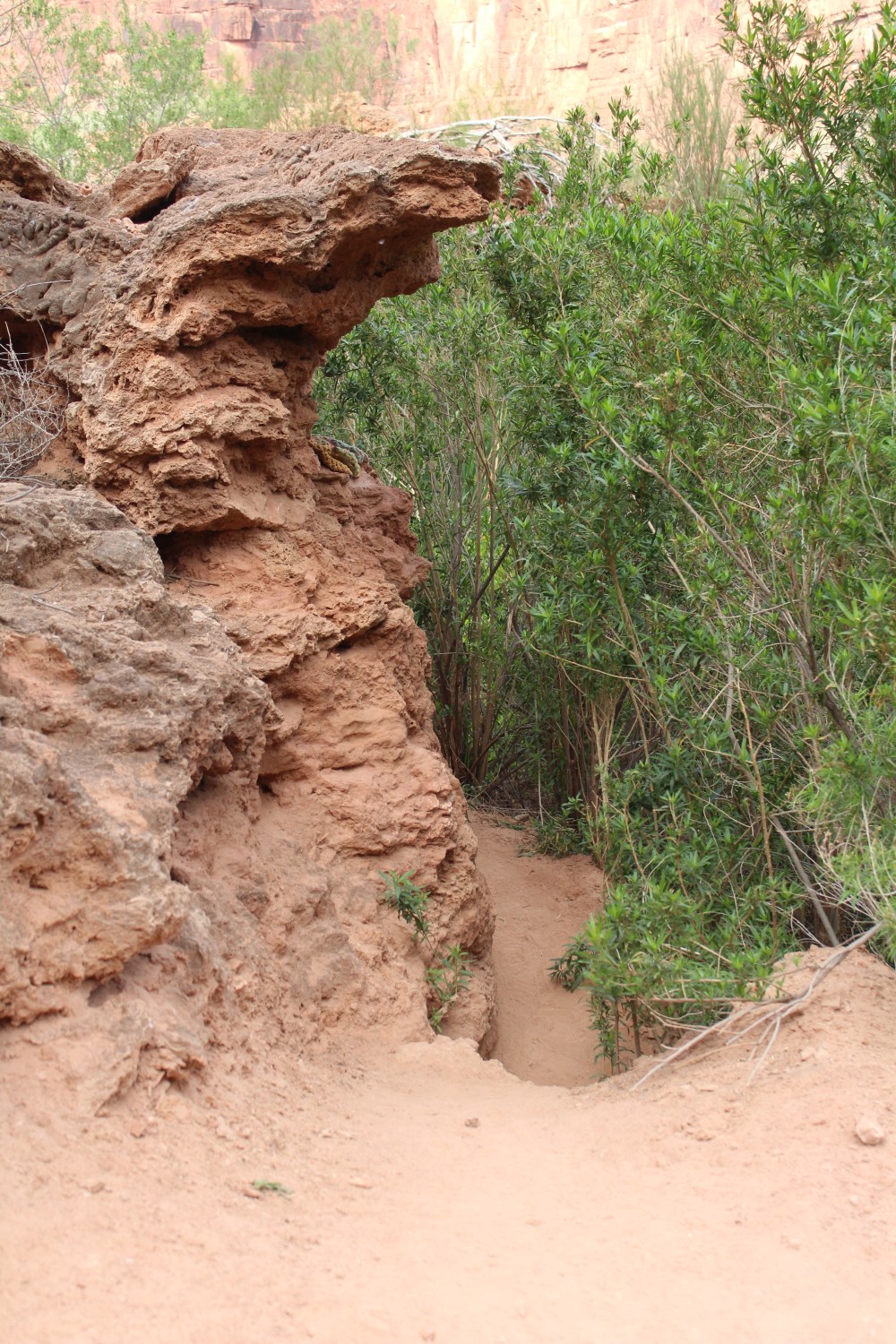 20180407091317_IMG_0189