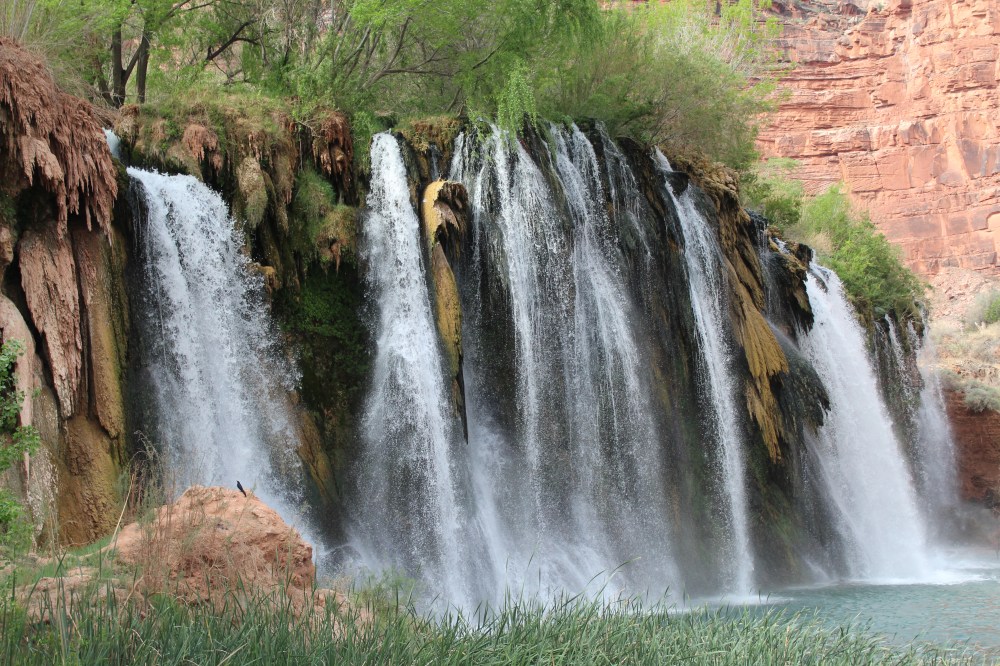 20180407091725_IMG_0191