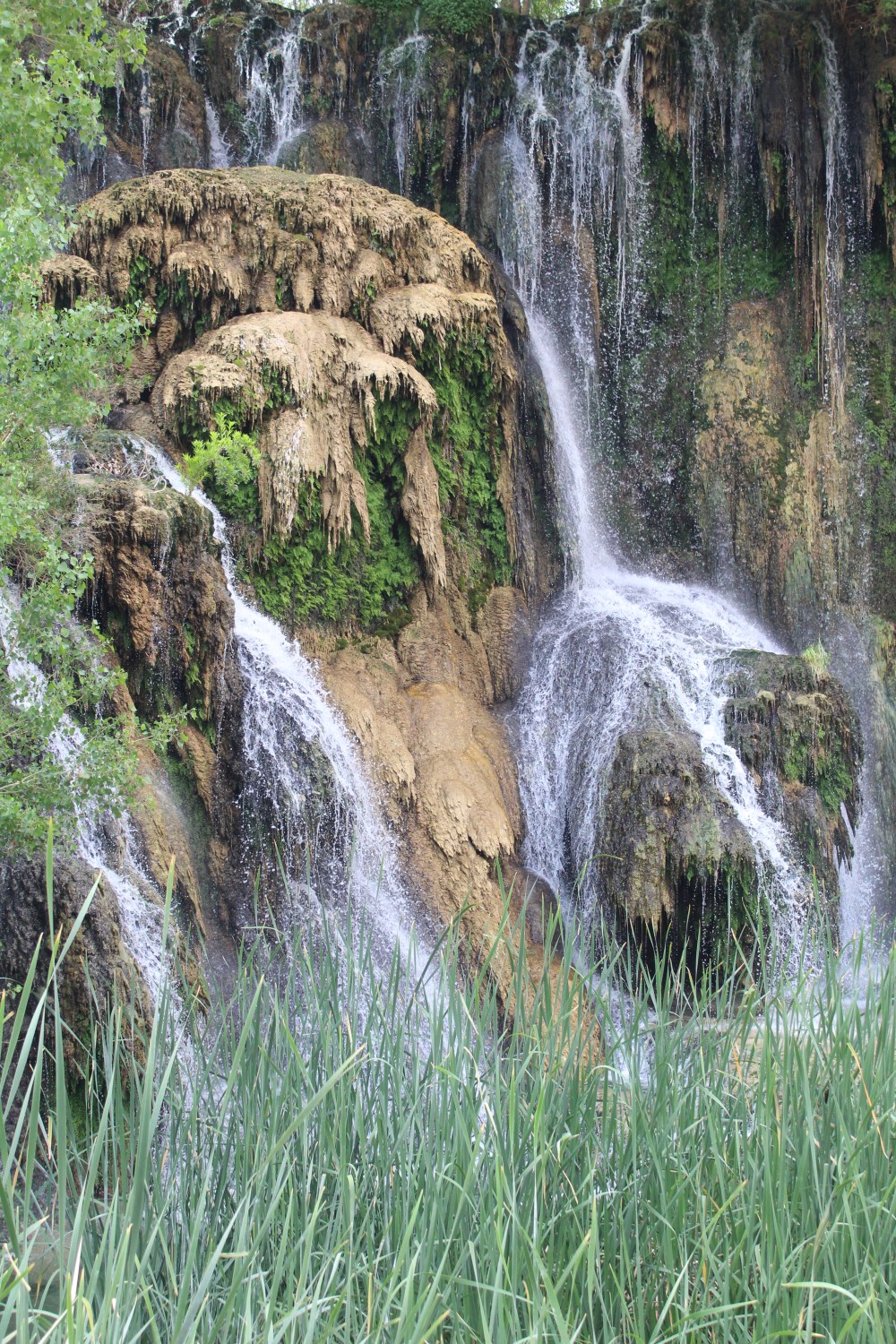 20180407091748_IMG_0196