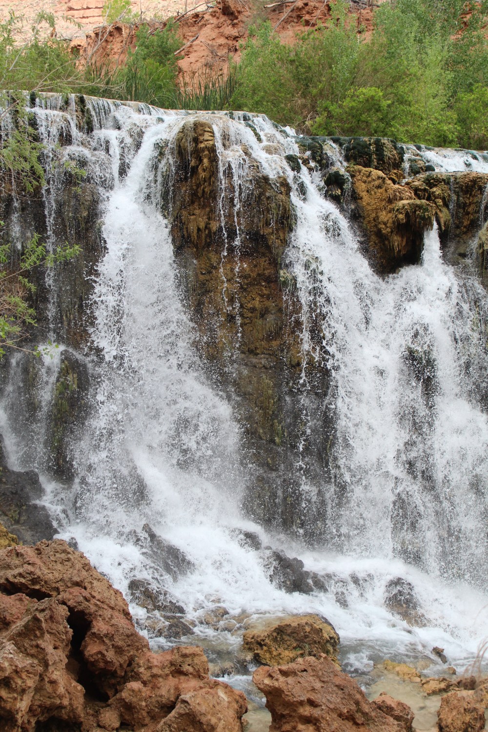 20180407092422_IMG_0205