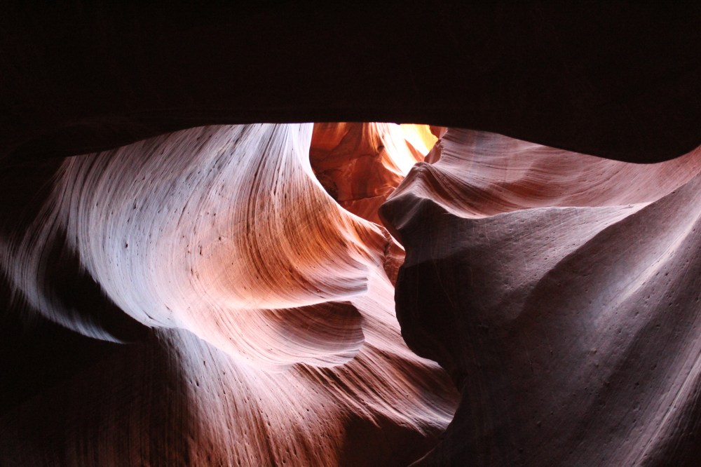 20180409092037_IMG_0315