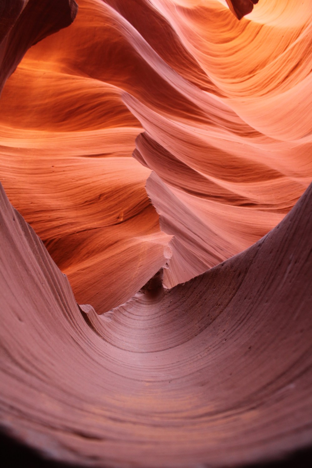 20180409124625_IMG_0411