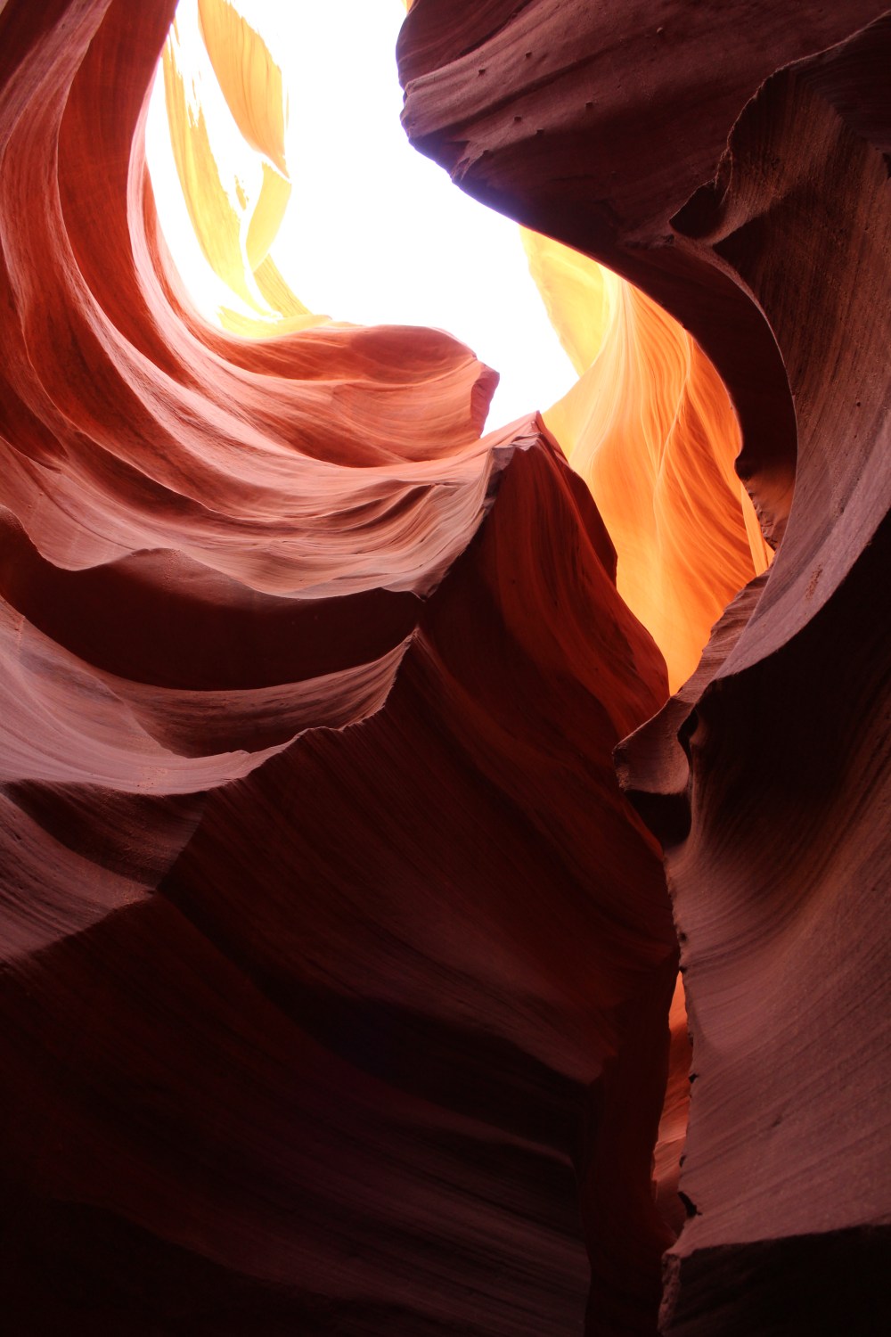 20180409124757_IMG_0417