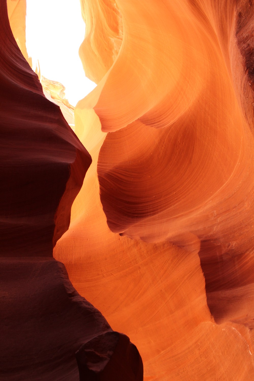 20180409125600_IMG_0445