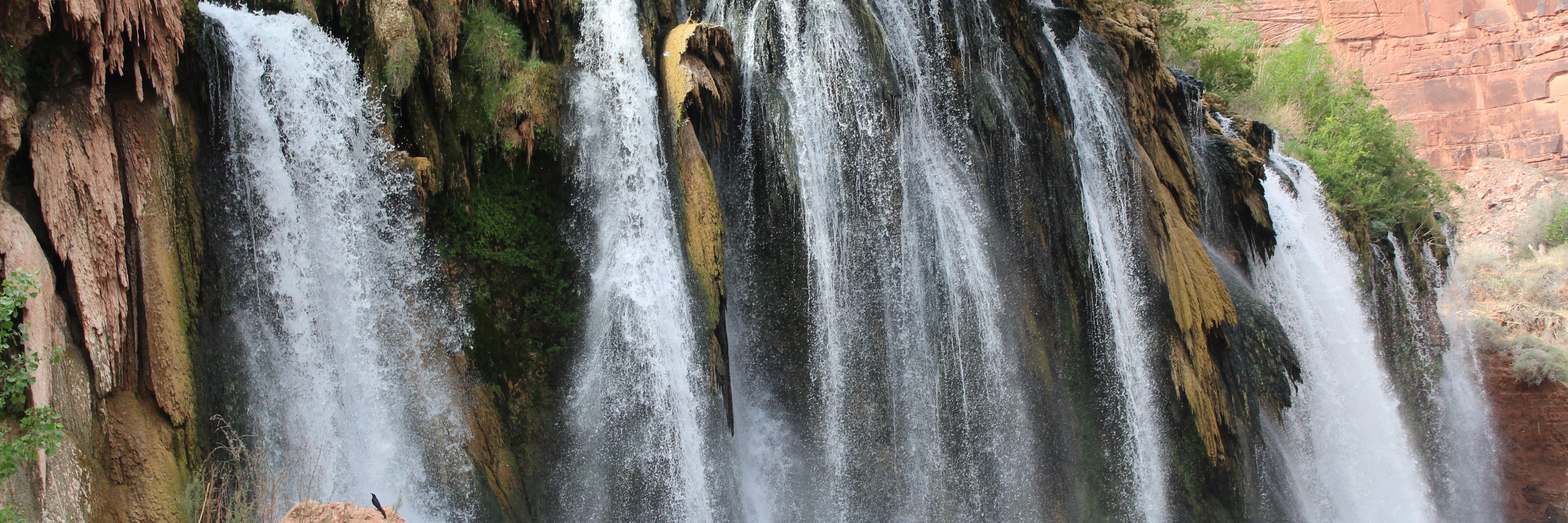 alongthewaywithjacque