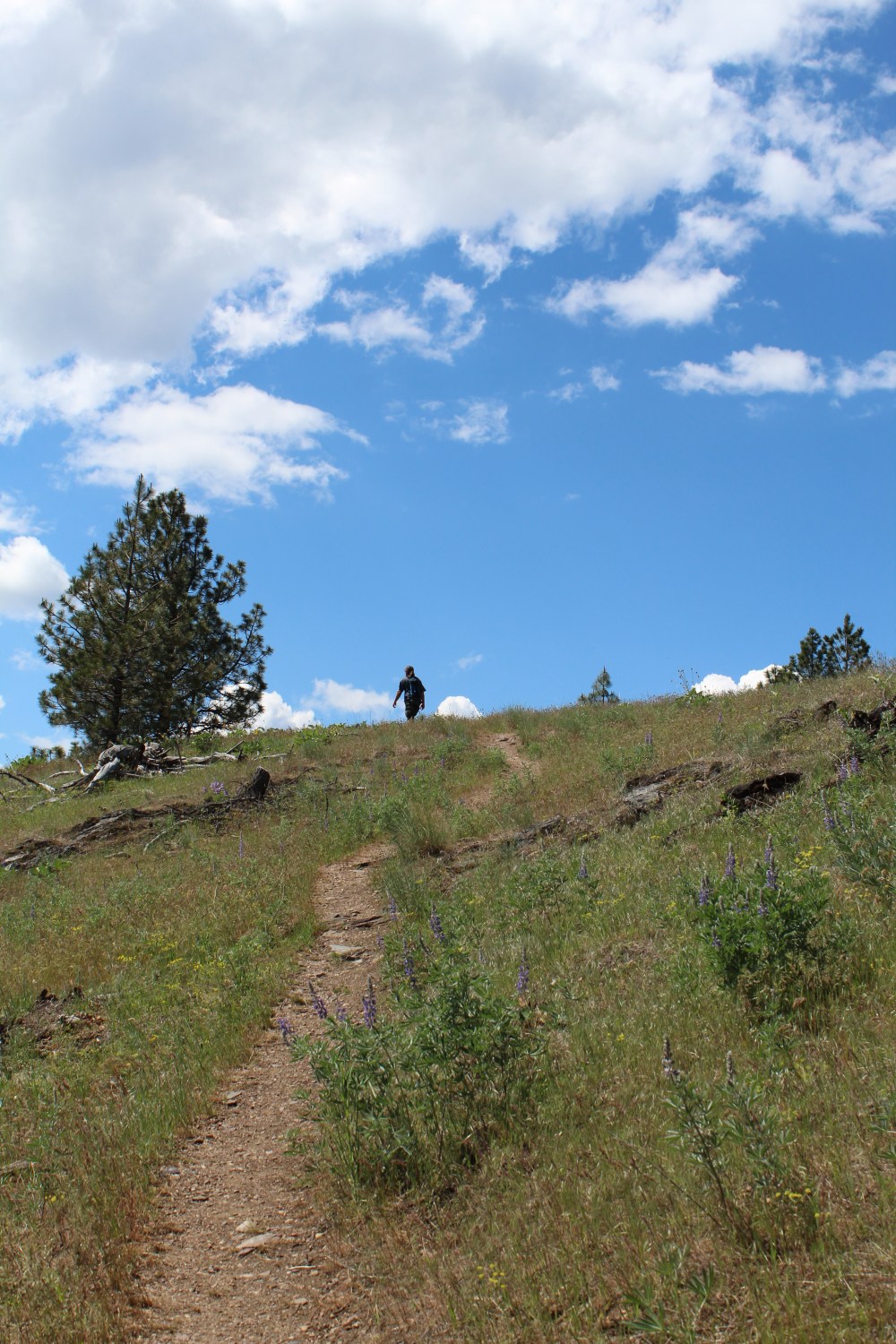 20180521134922_IMG_1341