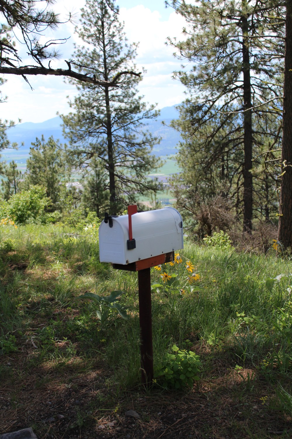 20180521135741_IMG_1344