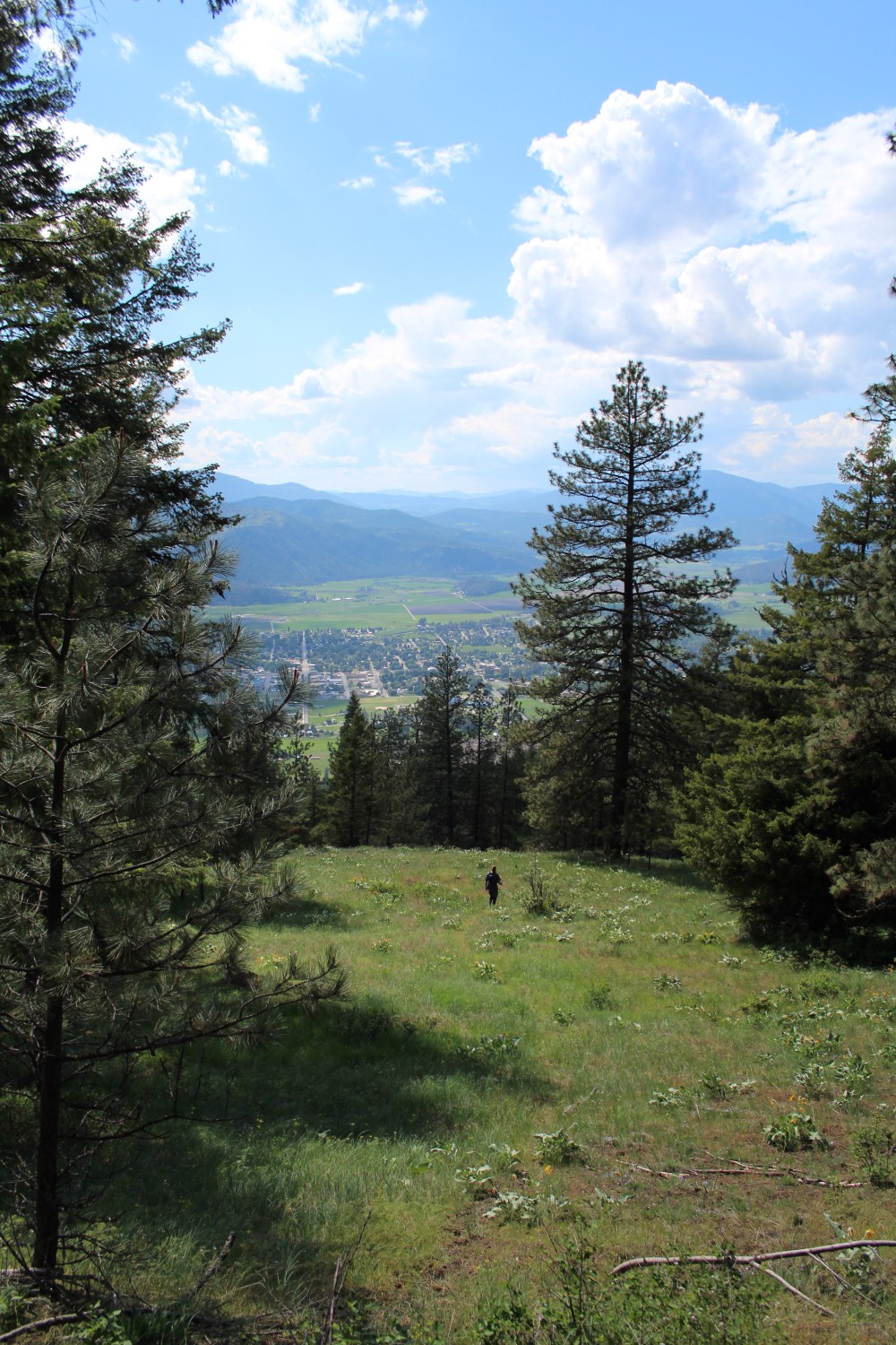 20180521152110_IMG_1353