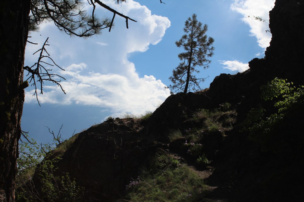 20180521160308_IMG_1368