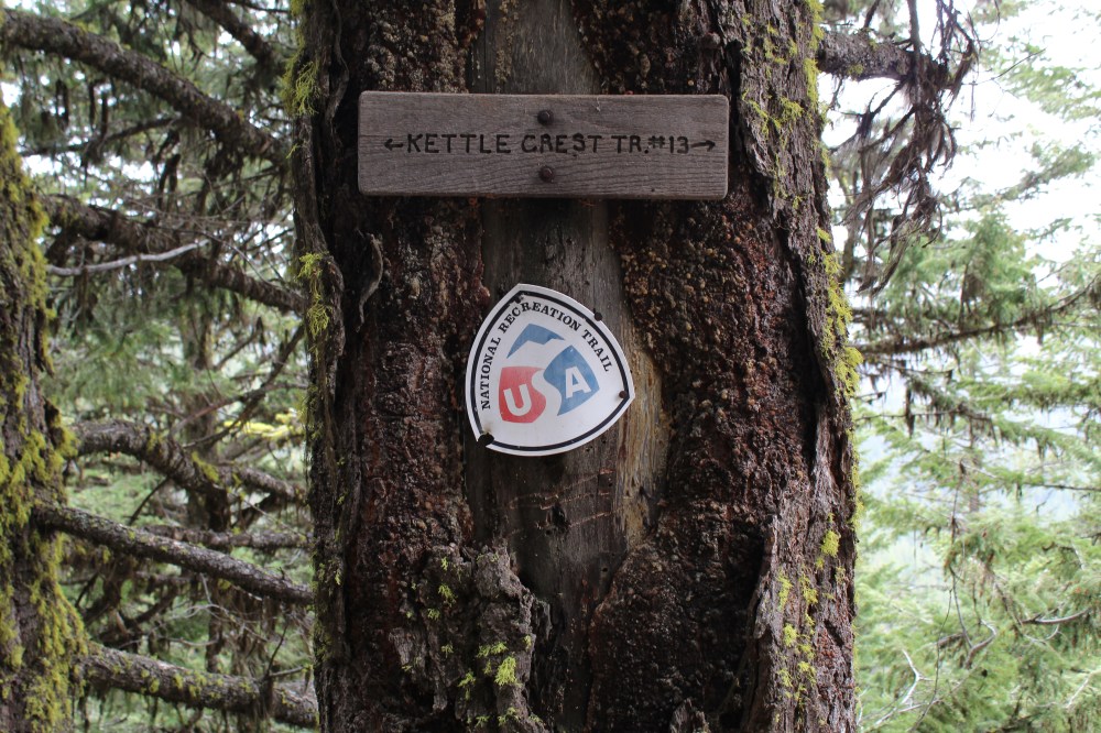 20180519131227_IMG_1307