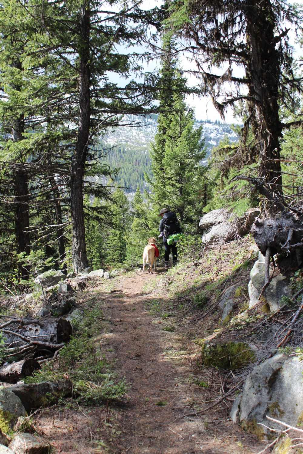 20180520100027_IMG_1329