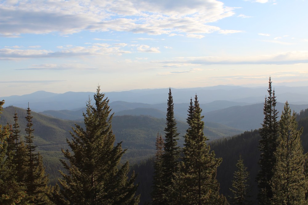 20180601193755_IMG_1383