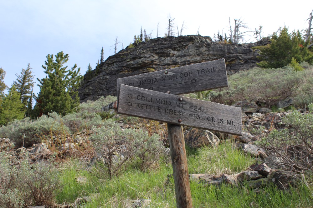 20180602095634_IMG_1421