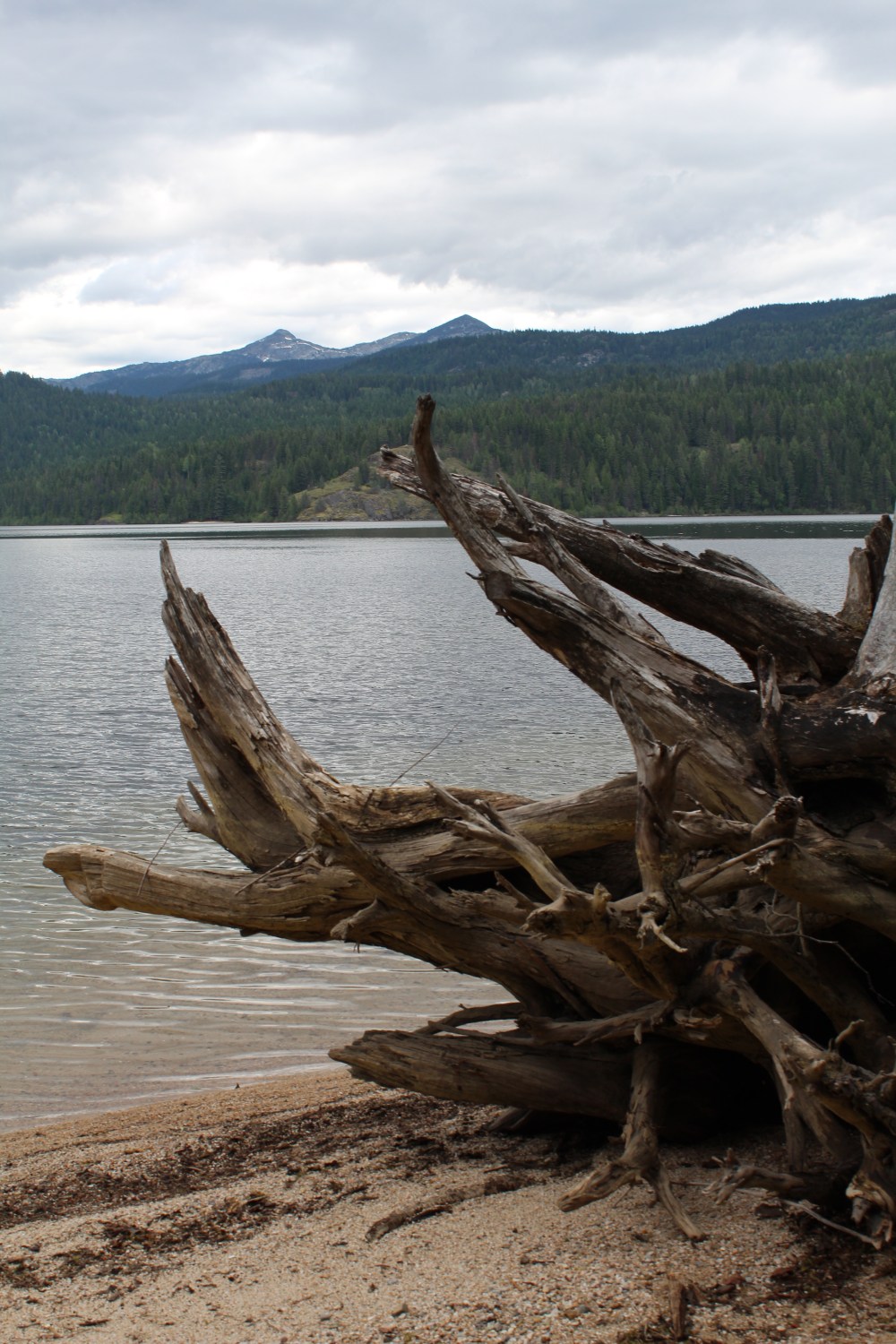 20180614144301_IMG_1554