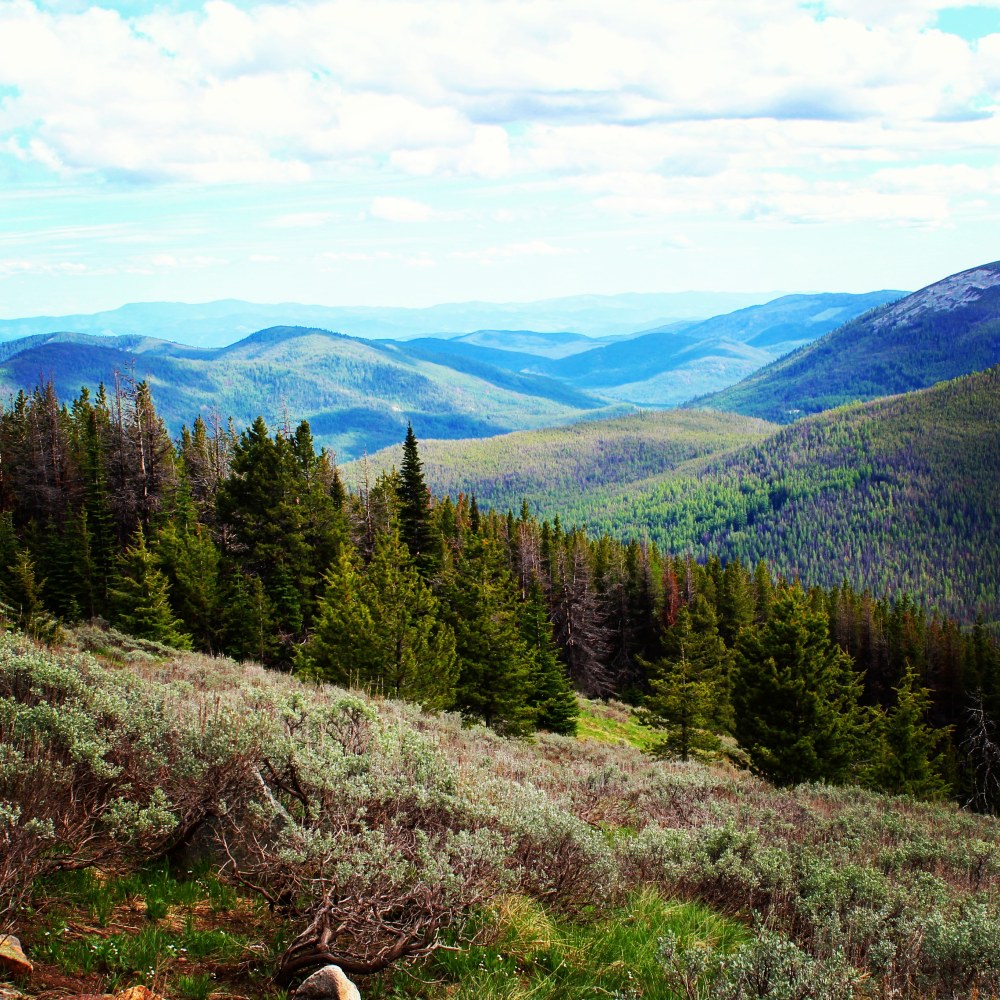 IMG_20180606_101058_965