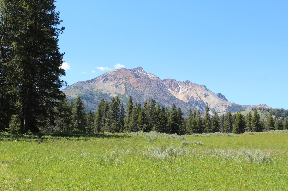 20180713135449_IMG_1665