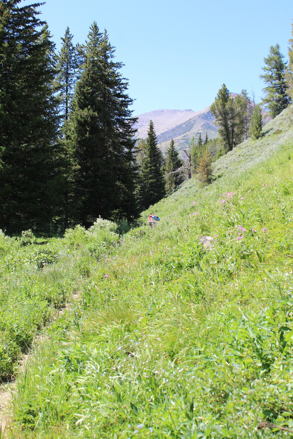 20180713144857_IMG_1668