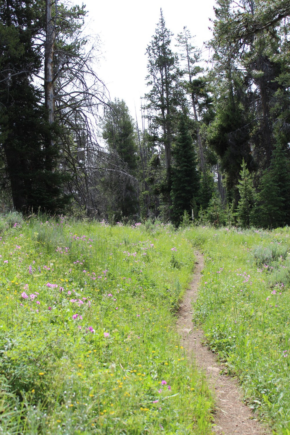 20180714093907_IMG_1676