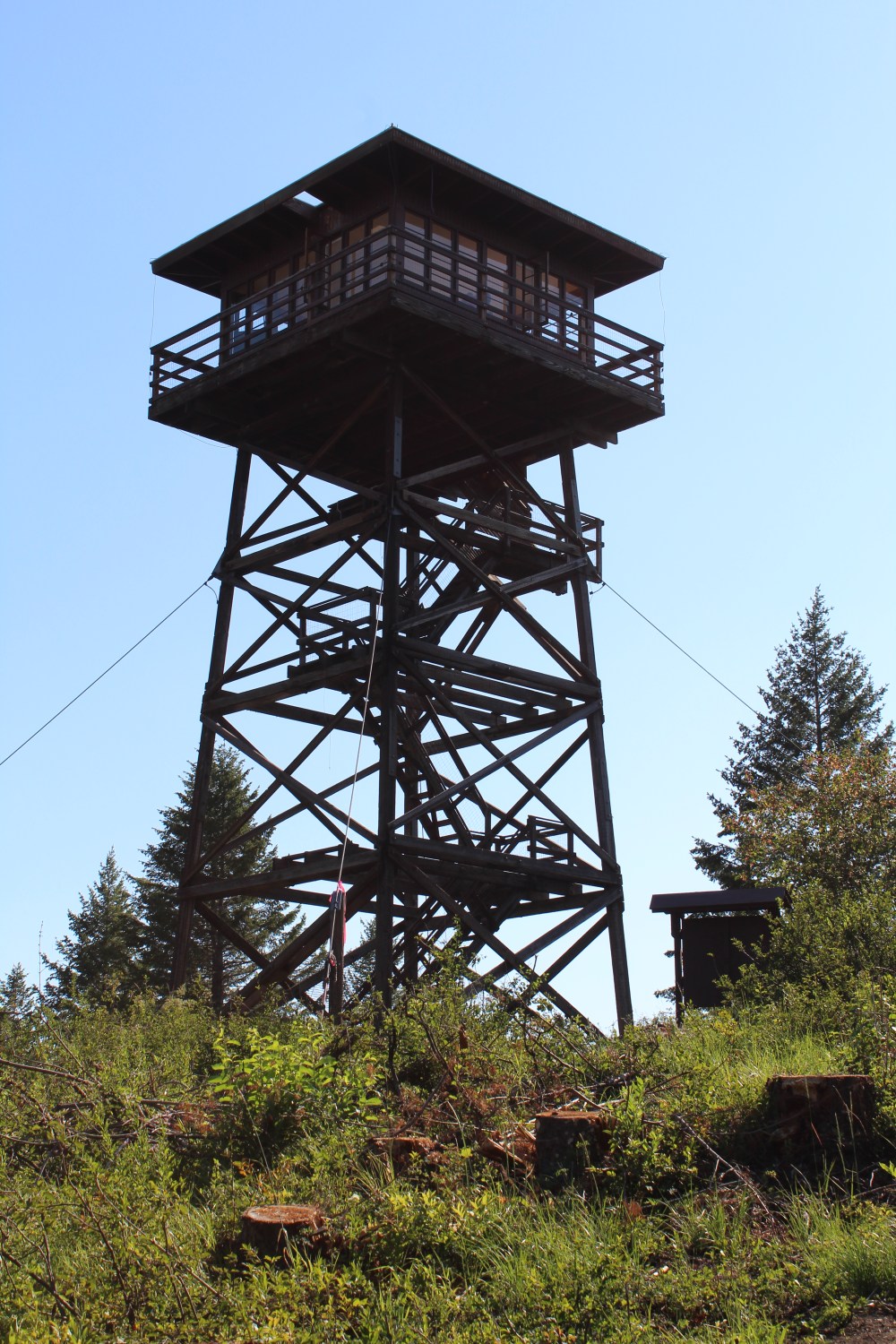 20180718165424_IMG_1914_1