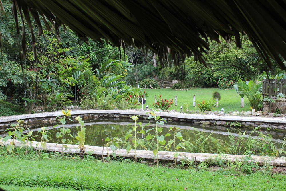 20181120131440_IMG_2034