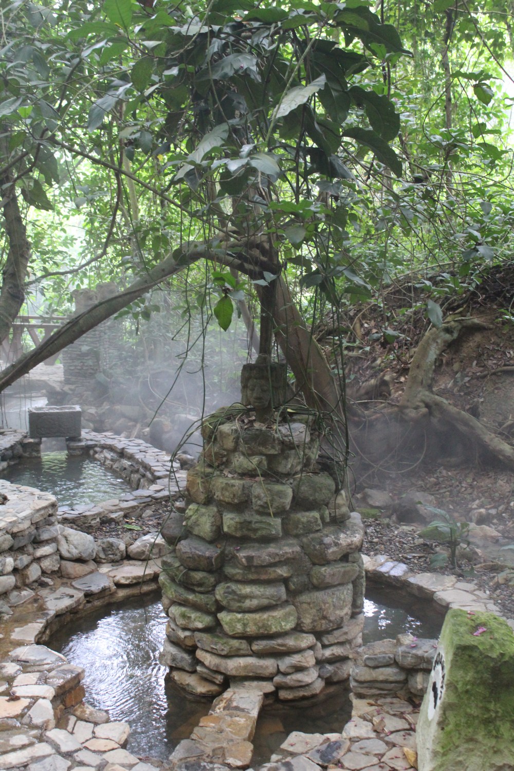 20181120141020_IMG_2036