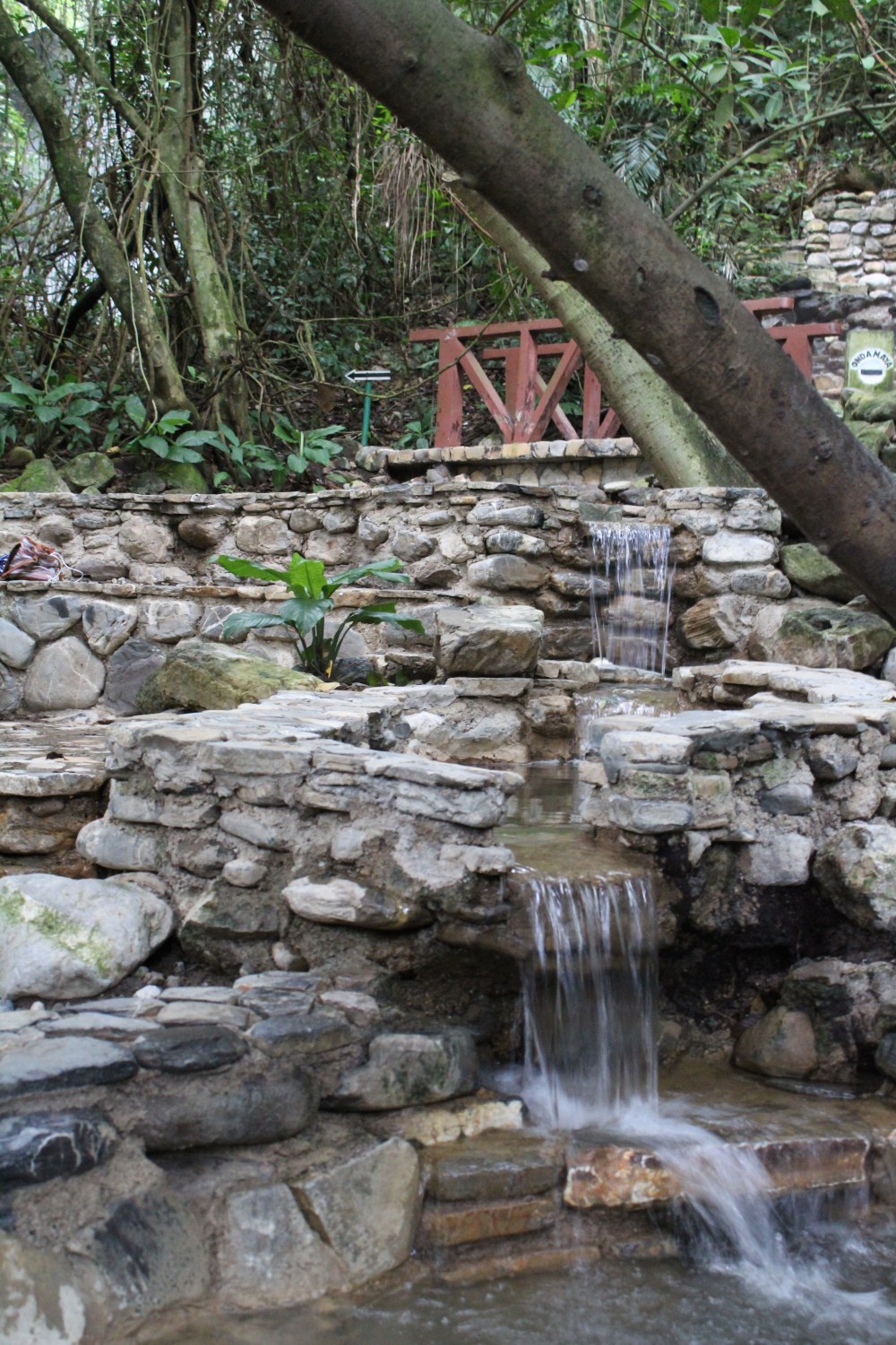 20181120141106_IMG_2037