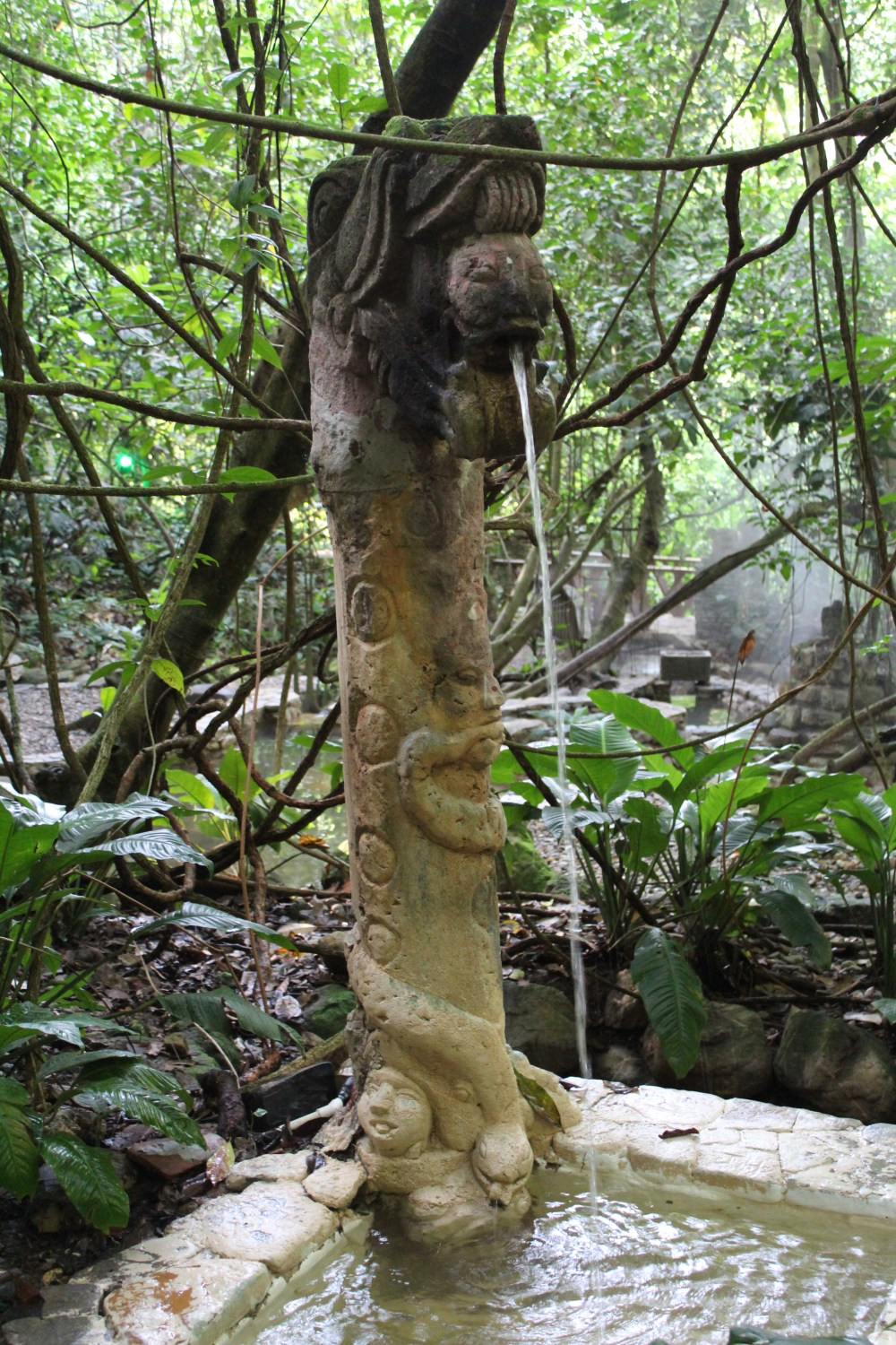 20181120150351_IMG_2059