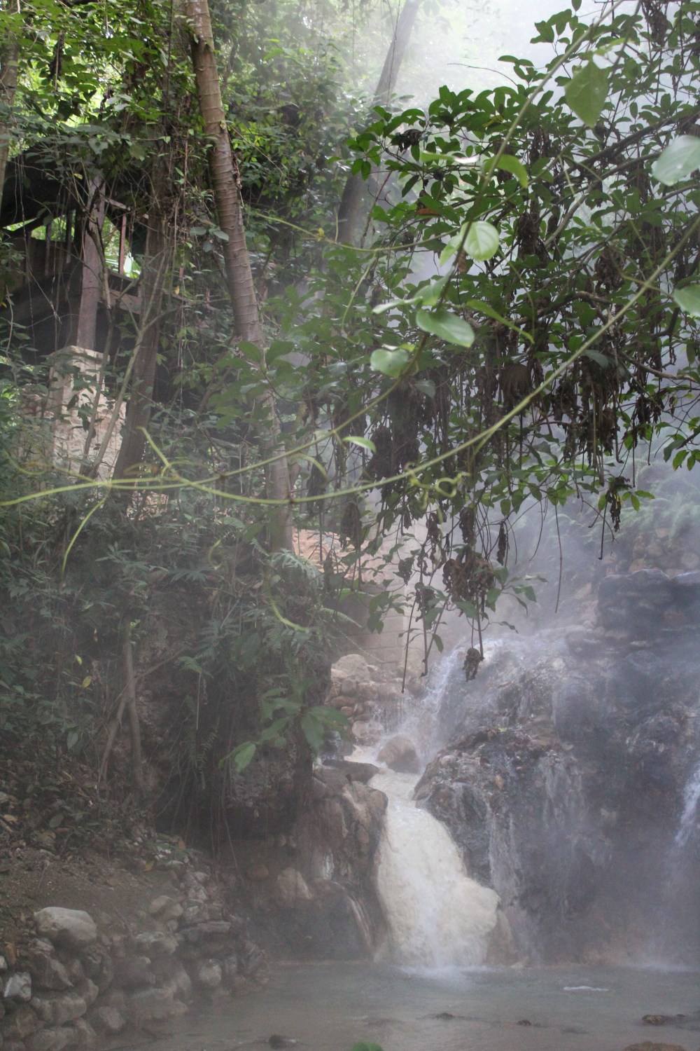 20181120150552_IMG_2067