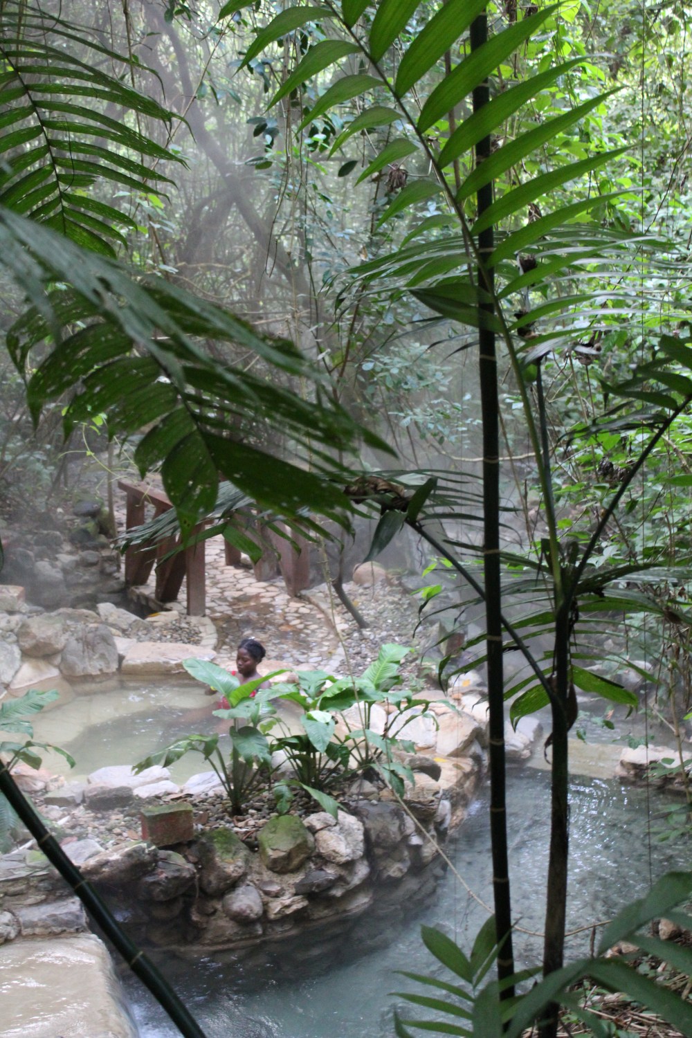 20181120151032_IMG_2074