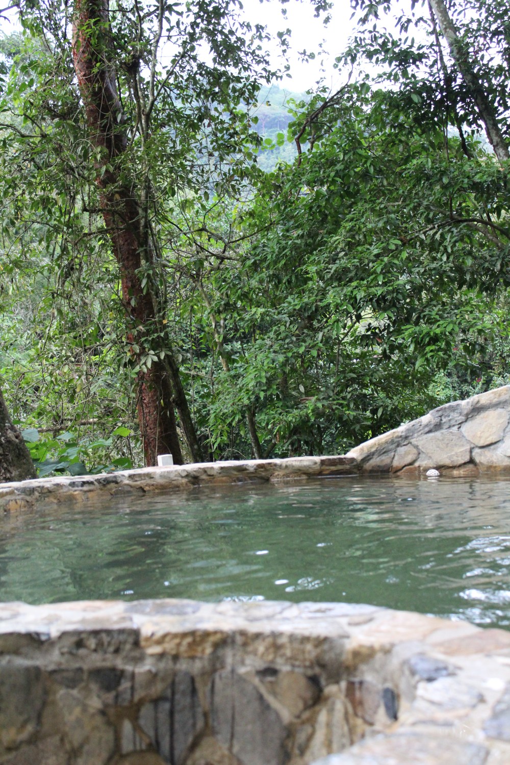 20181120151811_IMG_2083