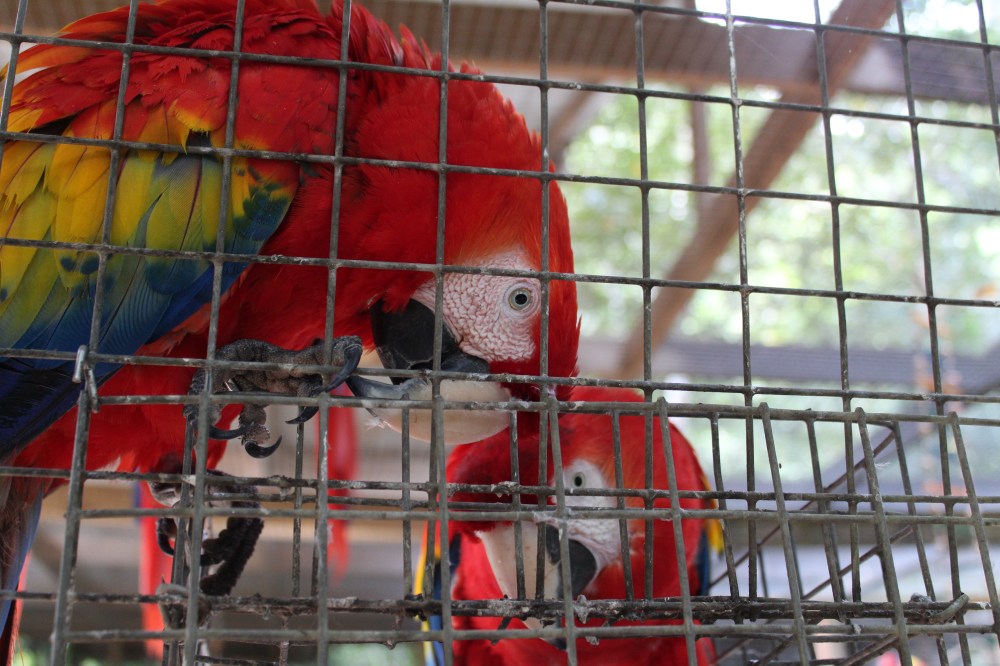 20181121083213_IMG_2096