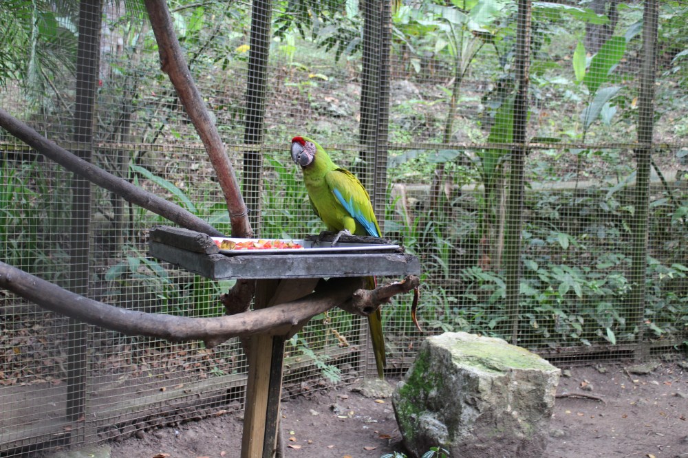 20181121083628_IMG_2098