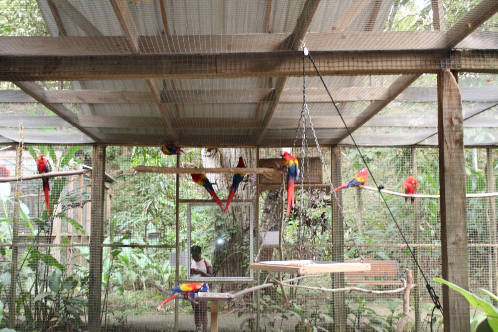 20181121084522_IMG_2105