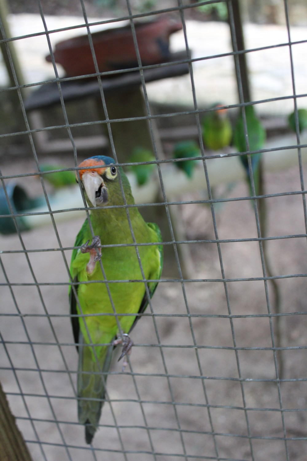 20181121085358_IMG_2109