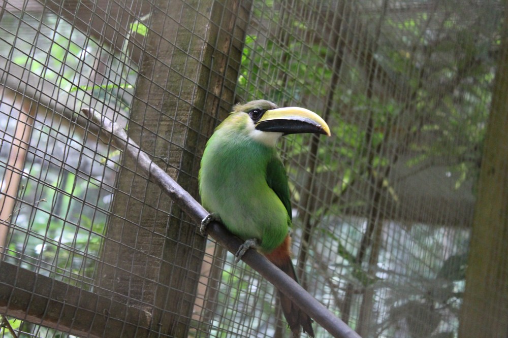 20181121090906_IMG_2122