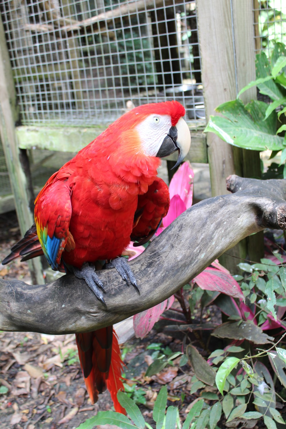 20181121092519_IMG_2130