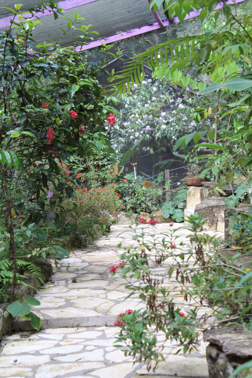 20181121112839_IMG_2178