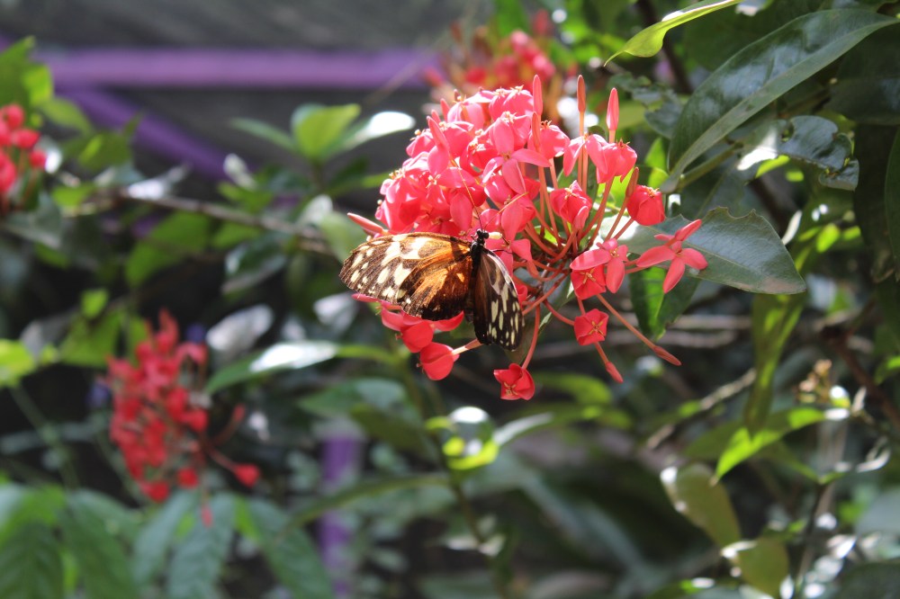 20181121120120_IMG_2201