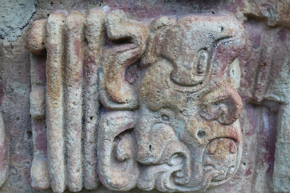 20181122094904_IMG_2219